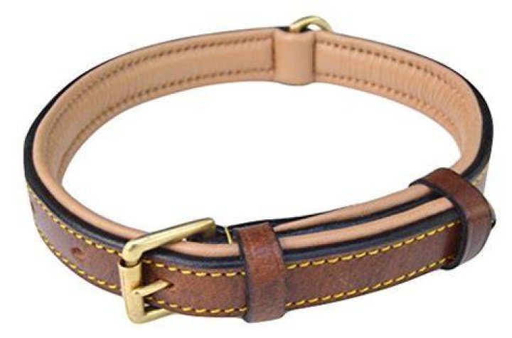 Soft Touch Collars Two-Tone Leather Padded Dog Collar
