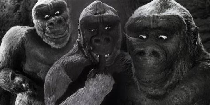 Son of Kong