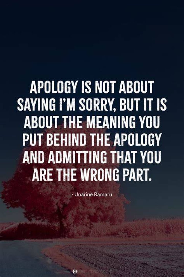 Sorry Quotes: Expressing Regret And Apologizing Meaningfully