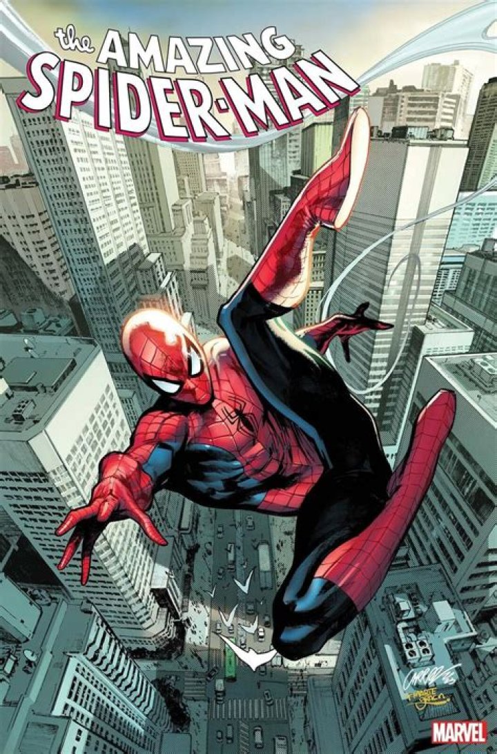 Spider-Man in The Amazing Psier-Man (2012)