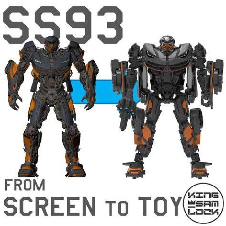 SS 93