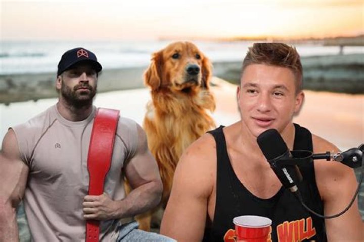 Stevewilldoit's Net Worth and Top Facts About His Life