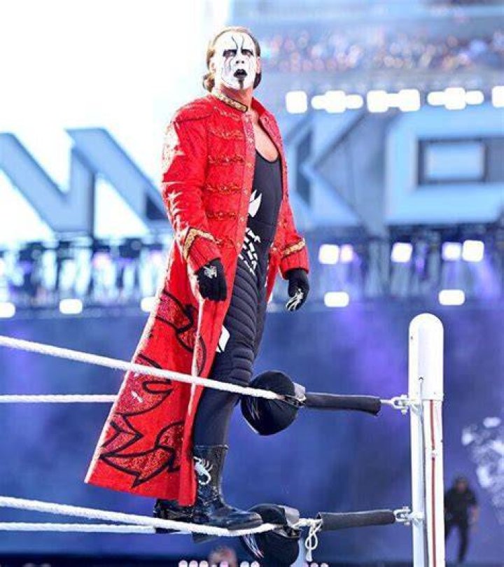 Sting At WrestleMania 31 Cropped