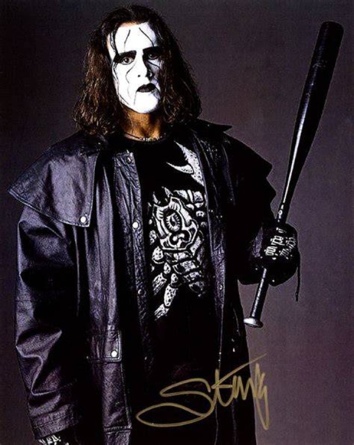 Sting Baseball Bat