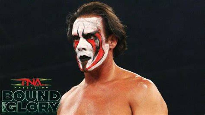 Sting Bound For Glory