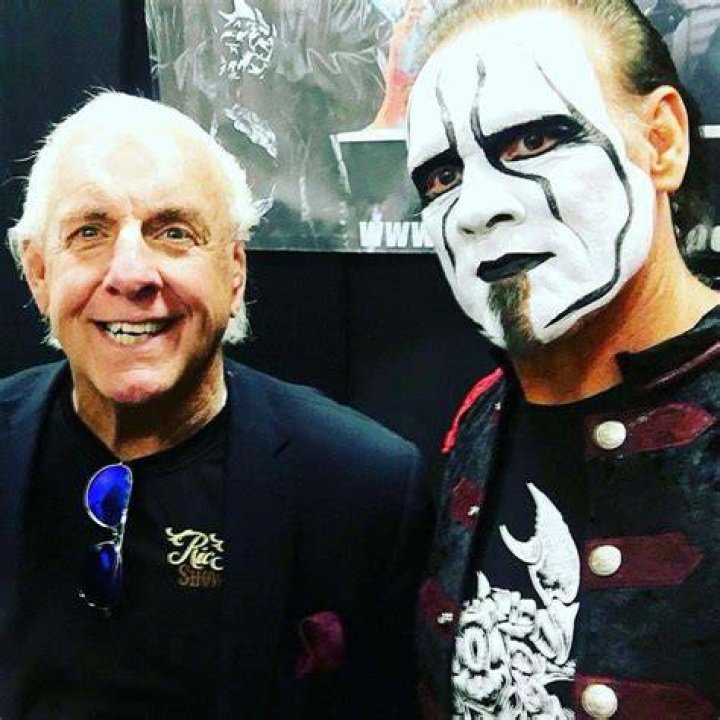 Sting Ric Flair TNA