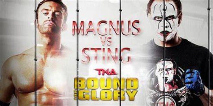 Sting Vs Magnus
