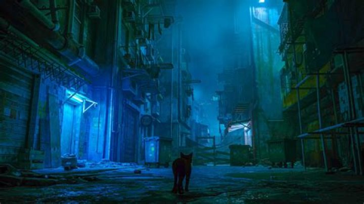 Stray cat in an alley