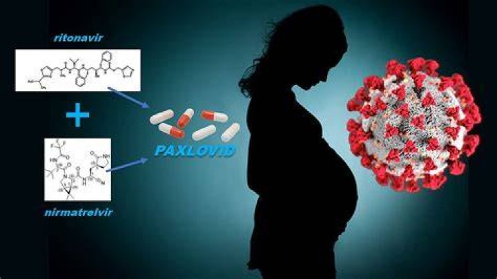 Study Shows Paxlovid Can Safely Be Used to Reduce Risk of Severe COVID