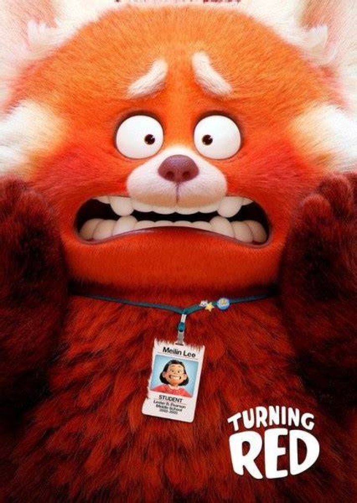 Sun Yee Fan Casting for Turning Red (2002) | myCast