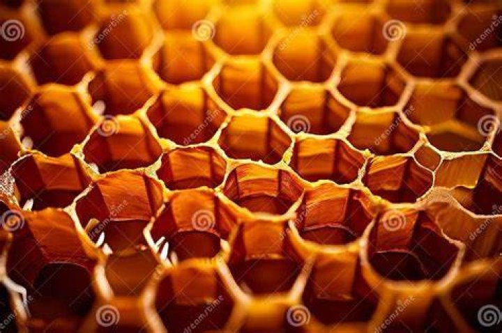 super macro honeycomb, made by bee with drops of honey