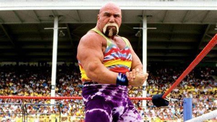 Superstar Billy Graham WWE Champion Cropped-1