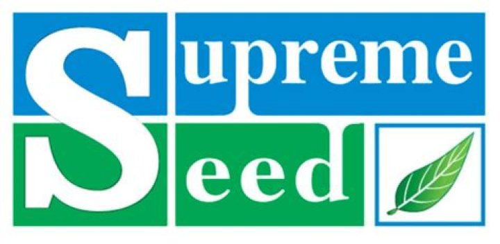 Supreme Seed Supreme Seed