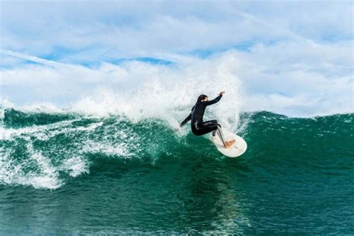 surfero surfero