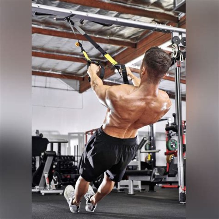 suspension trainer row suspension trainer row
