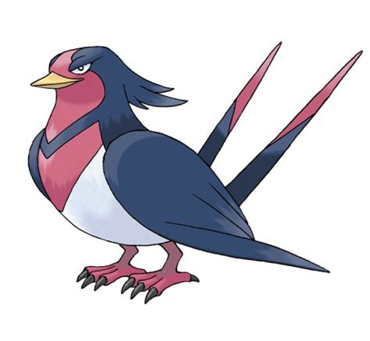 Swellow in Pokemon