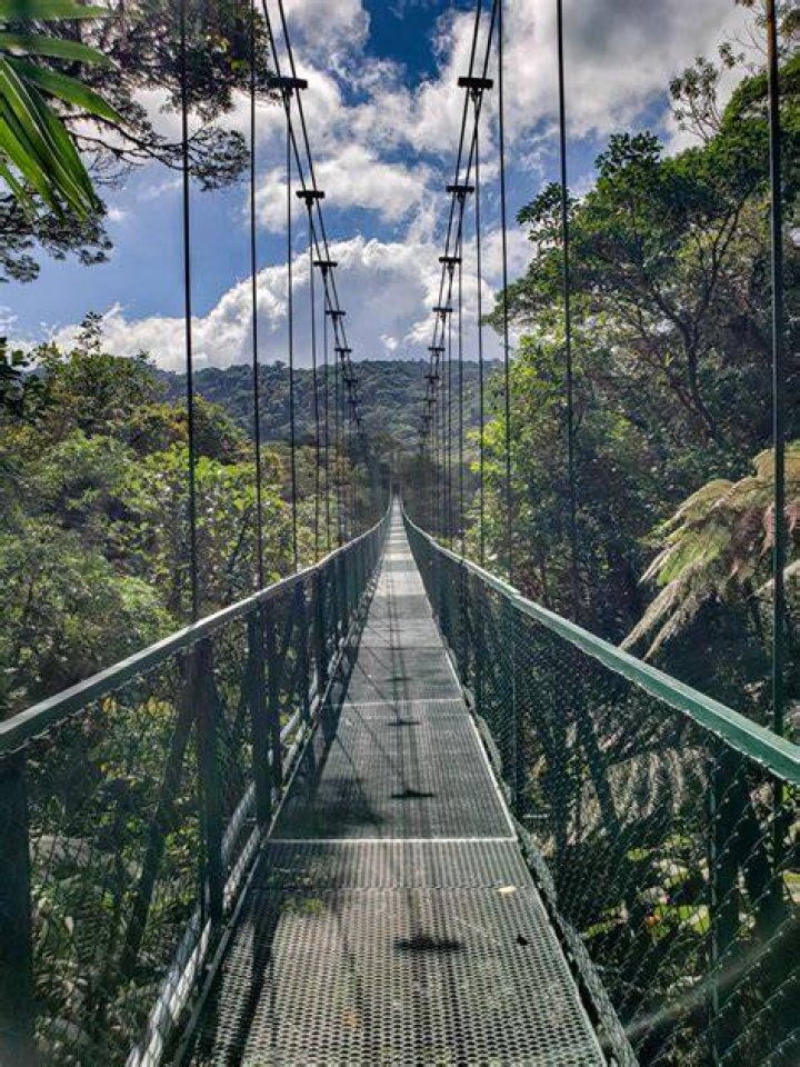 swing bridge in monteverde, Costa Rica