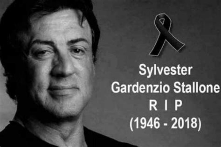 Sylvester Stallone morreu? Saiba a verdade! &Aacute;rea VIP