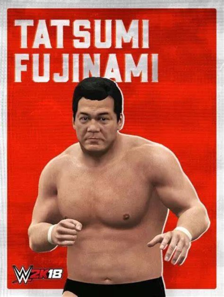 Tatsumi Fujinami in WWE.