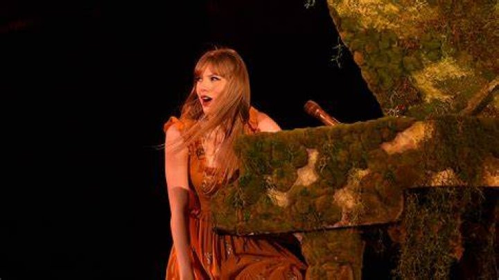 Taylor Swift Reacts to Fans Throwing Items in Buenos Aires