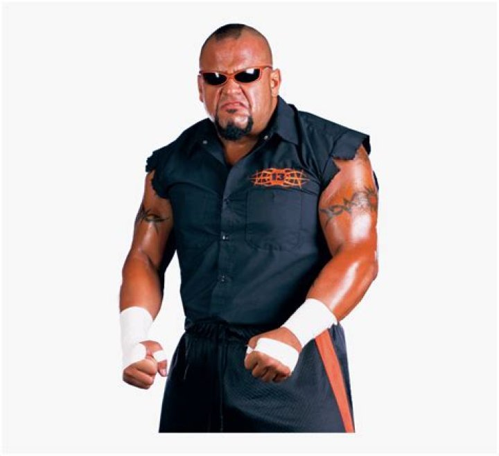 Taz in ECW