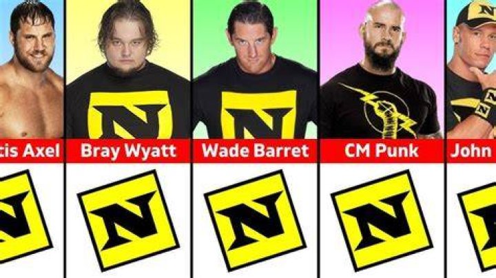 Team WWE v Team Nexus SummerSlam 2010 Cropped