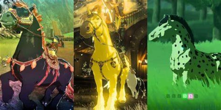 Tears of the Kingdom, Ranked Worst To Best