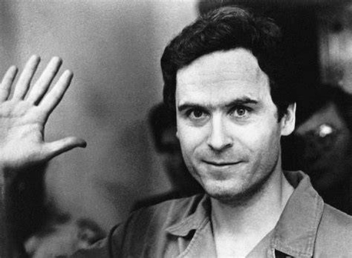 Ted Bundy confessed to 30 homicides of young women. Photo / Netflix
