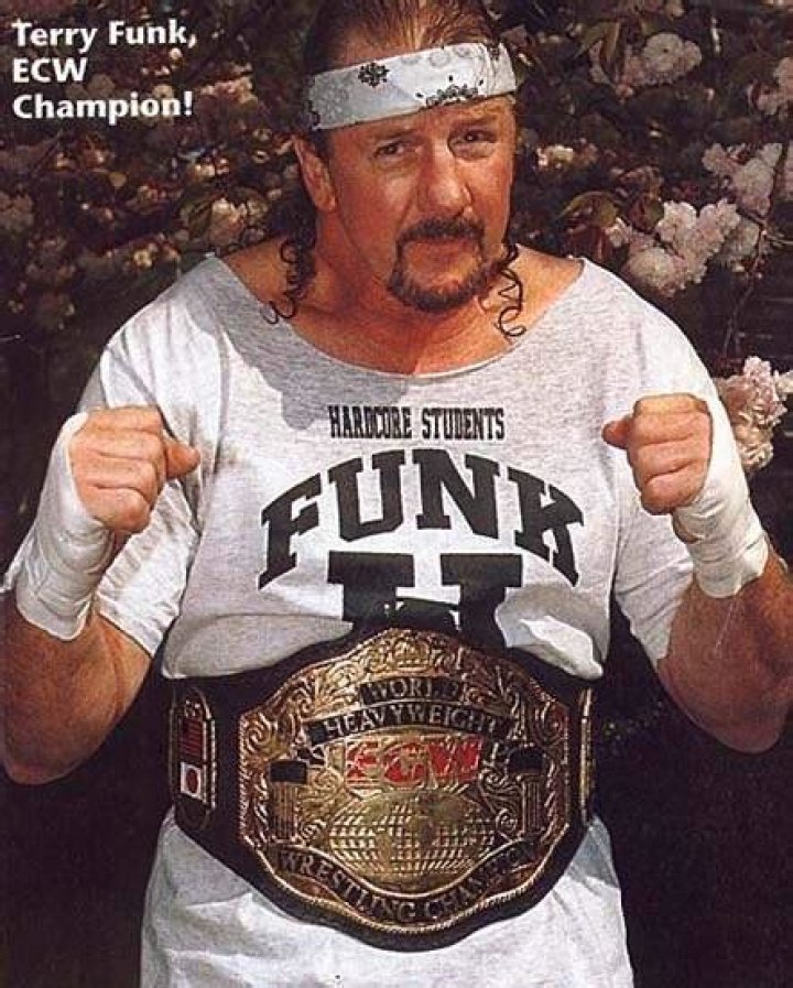 Terry Funk in ECW