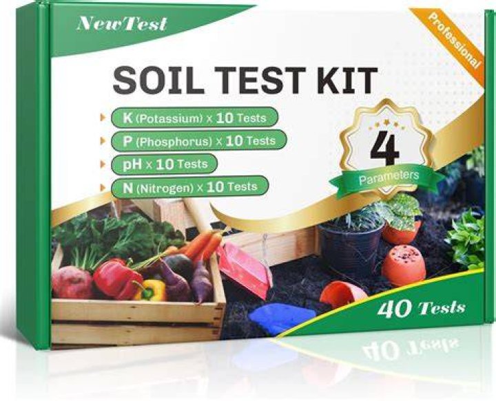 Test the soil