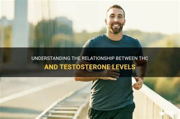 Testosterone and Wegovy: Understanding the Relationship and Implications
