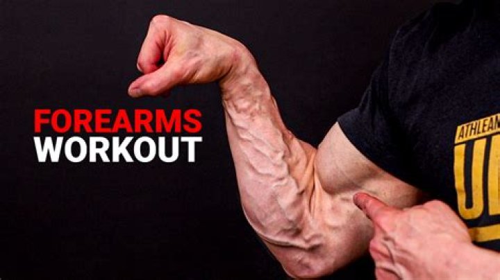 The 12 Best Exercises for Bigger, Stronger Forearms