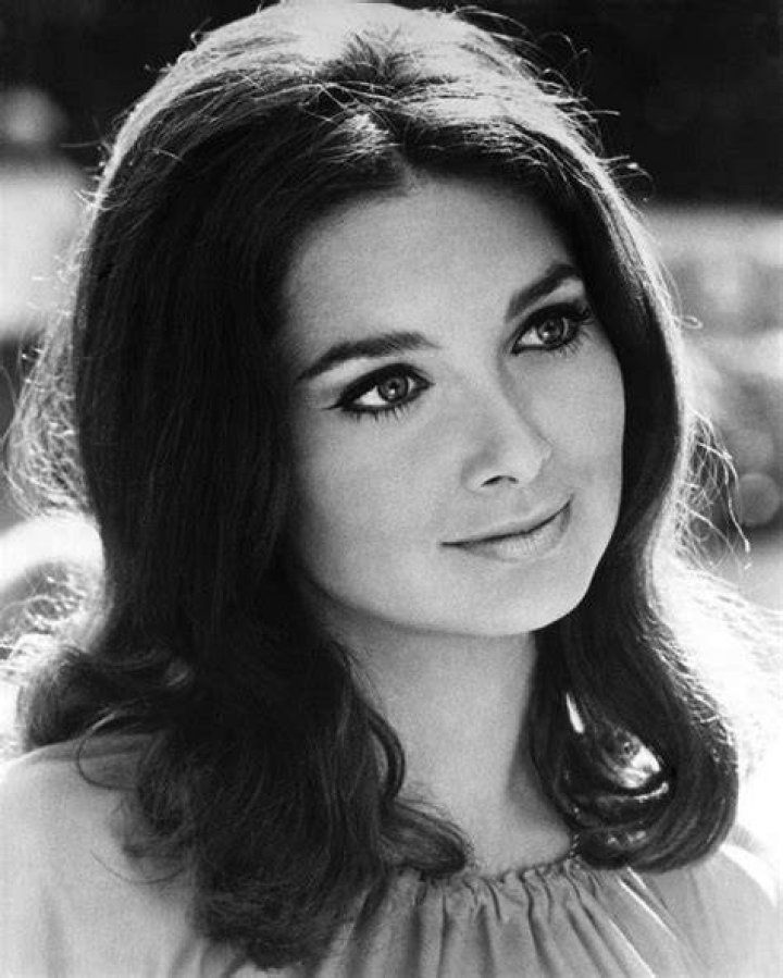The 40 Loveliest TV Actresses of the 1970s Vintage News Daily