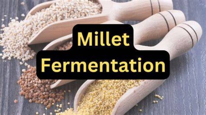 The Benefits of Millet Fermentation for Health and Wellness