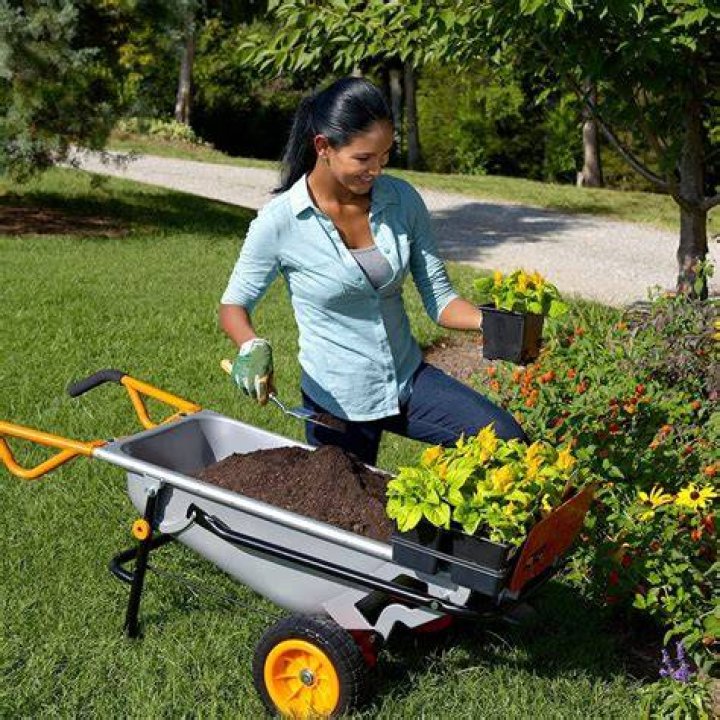 The Best Amazon Wheelbarrow Selections of 2024