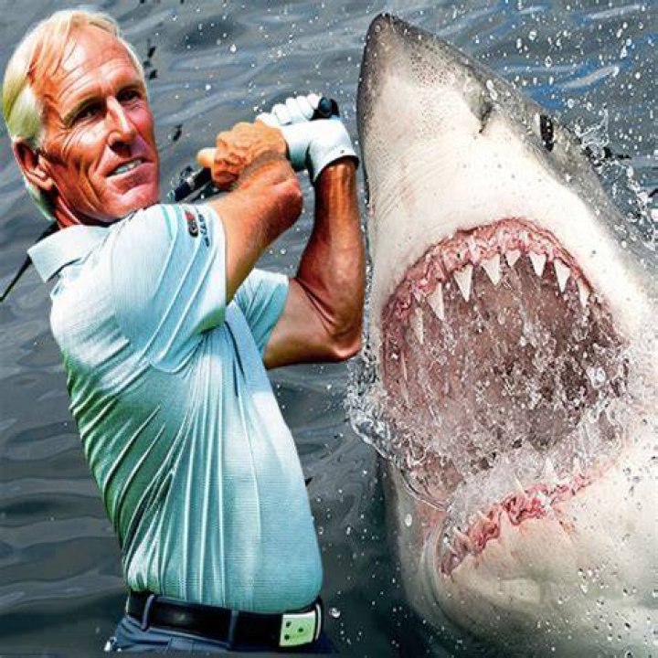 ‘The Best Thing…Ever Done For Me’: ‘Great White Shark’ Greg Norman Once Revealed
the Surprising Reason Behind His Infamous Nickname