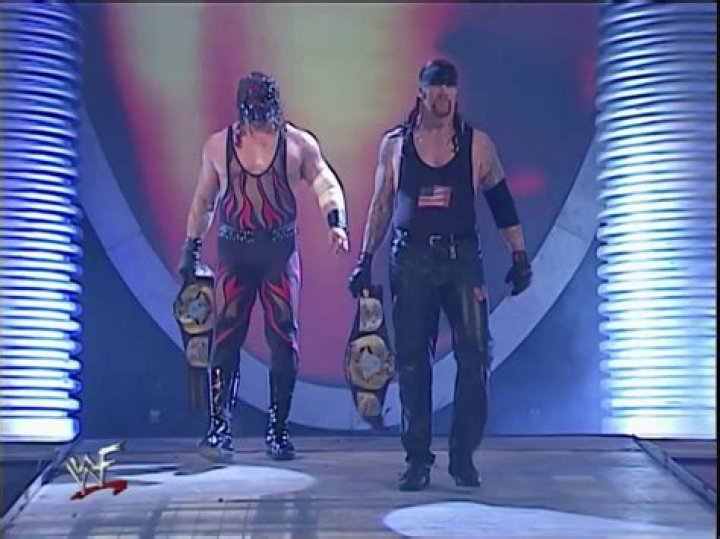 The Brothers of Destruction WCW Tag Team Champions Cropped
