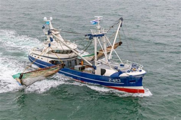 The fishing trawler let their catch go to free the dolphins. Photo/Supplied