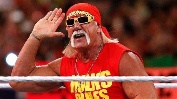 The Lady Who Ruined Hulk Hogan’s 40 Years of Companionship With WWE Legend
Finally Breaks Silence in Cryptic Response