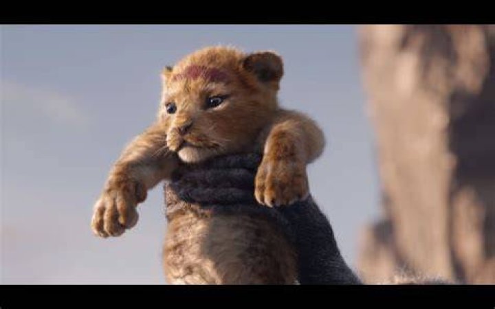 The Lion King Trailer Simba Presented To Animals