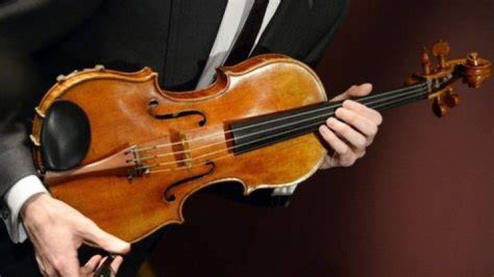 The most expensive viola