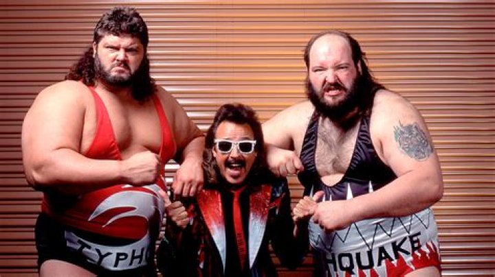 The Natural Disasters WWF Tag Team Champions Cropped