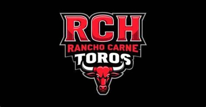The Rancho Carne Toros in Bring It On