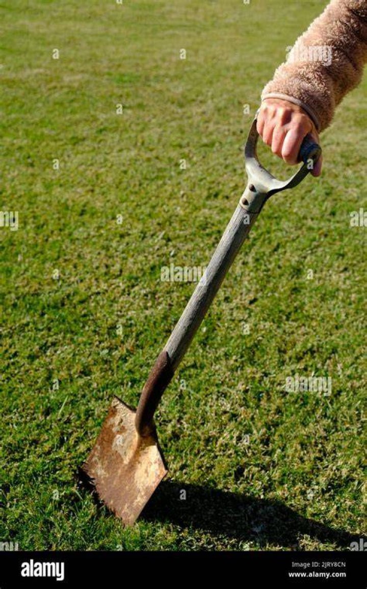 The spade pictured is being sought by police in relation to the homicide case of Yanfei Bao.