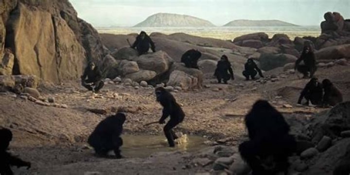 The two ape tribes fight in the opening scene of 2001