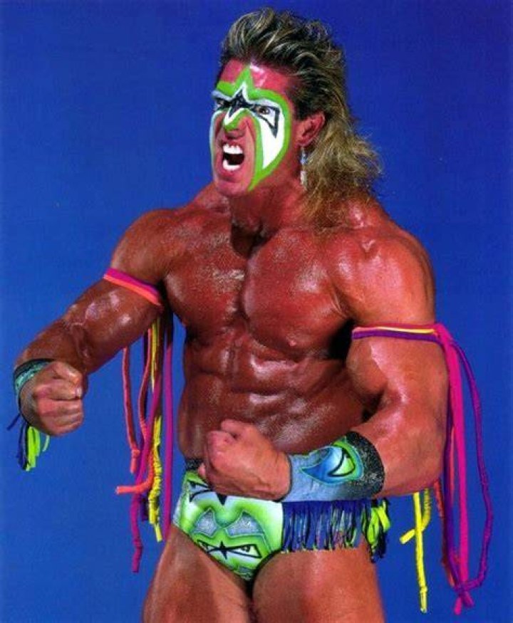 The Ultimate Warrior in WWE