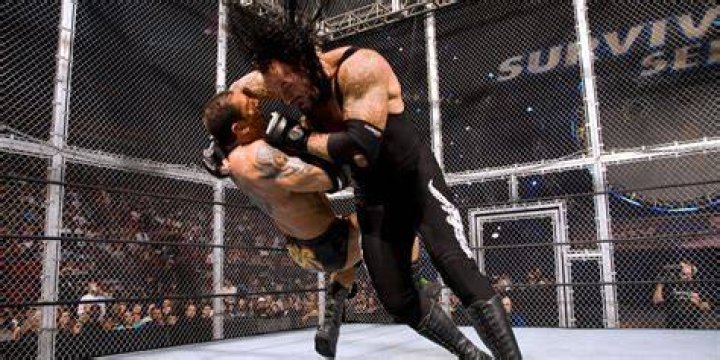 The Undertaker Batista Hell In A Cell