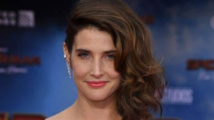 The Untold Truth Of Cobie Smulders