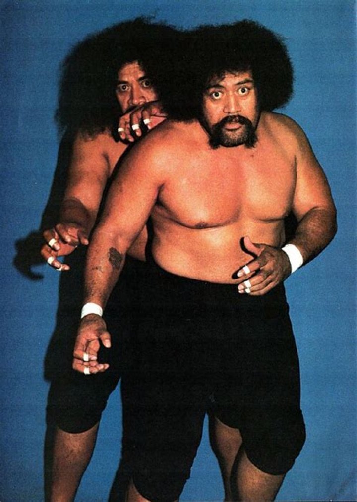 The Wild Samoans as rookies