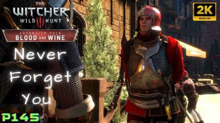 The Witcher 3: Blood and Wine - Knight for Hire